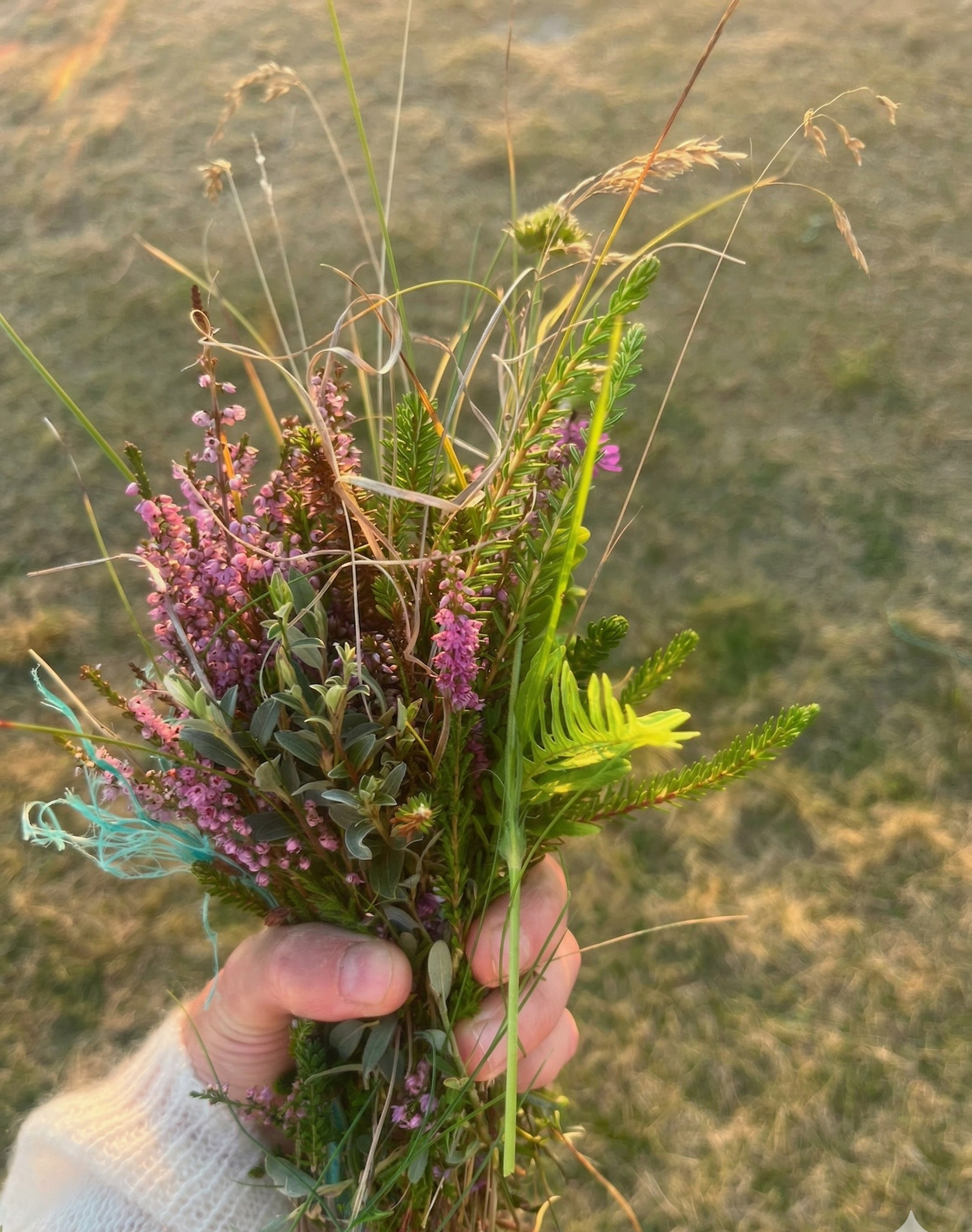 Systemische Familienberatung